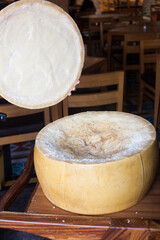 Parmesana, wheel of cheese