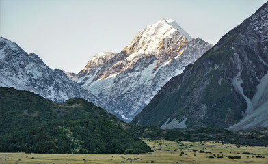View of Mount Cook / Aoraki with its surrounding mountains and bushes in the evening sun