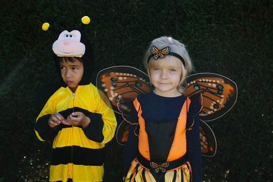 The Butterfly and the Bee