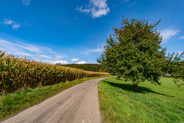 Wonderful, sunny autumn hike in Upper Swabia near Wilhelmsdorf near Lake Constance