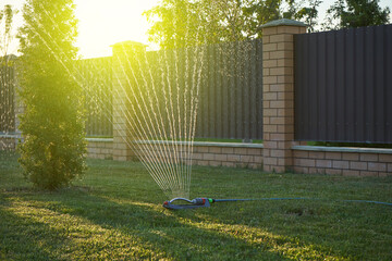 Sprayer watering the lawn in the home garden at sunset
