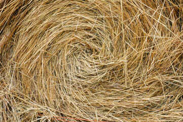 straw bale background