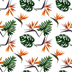 Seamless tropical pattern with  strelitzia with leaves on white background. Seamless pattern with colorful leaves of colocasia, filodendron, monstera. Exotic wallpaper. Hawaiian style. © Olena