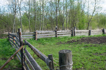 Hedge in the countryside, pasture fence old and crooked from time