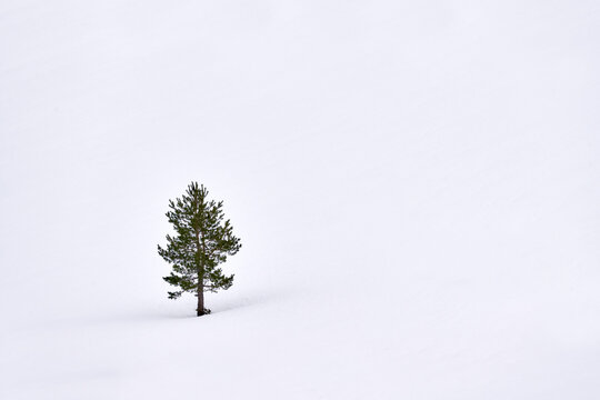 Mountain White Snow