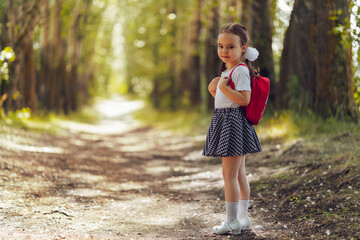 Cute little girl walking down the alley to school