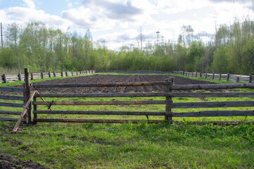 In the distance you can see a vegetable garden, surrounded by an old wooden fence. Vegetable garden in the forest, Russia