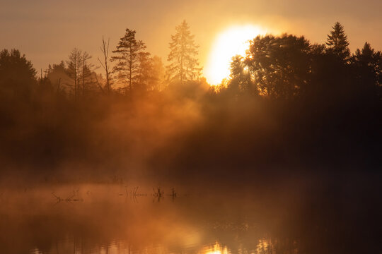 Mystical fog on a forest lake in the rays of the golden rising sun. A dark, realistic image of a fairy tale design