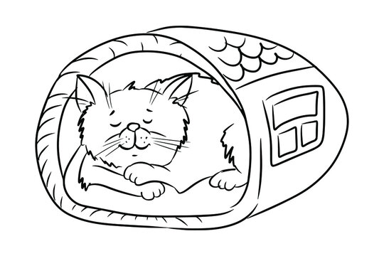 coloring book, cat sleeping in its soft cat house, hand-drawn outline for coloring, isolated on a white background