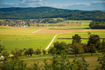 View of a landscape in canton Aargau, Habsburg. 