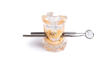 Fototapeta premium Dentist tools and artificial jaw on bright yellow and violet background. The concept of dental care and going to dentistry