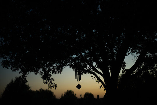 Wind chimes hanging from tree