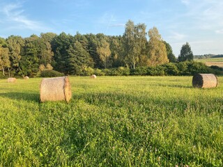 bales of hay