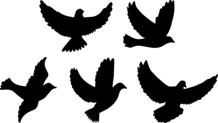 Various Doves Flying Illustration