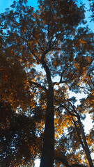 Obraz premium qweqew