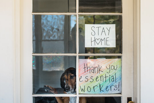 Encouraging Corona Virus signs with cute dog