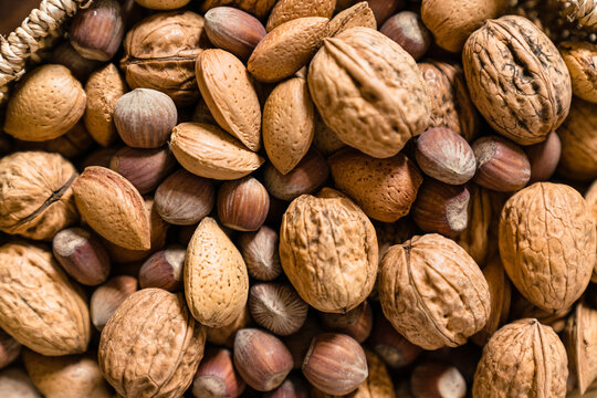 Raw walnuts put together with hazelnuts and Brazilian nuts