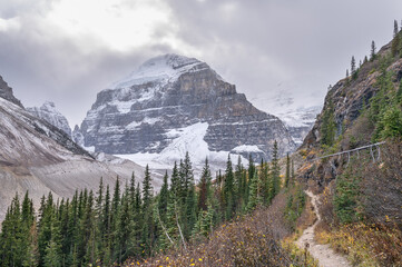 Hiking trail at Lake Louise Plain of Six Glaciers with Mount Lefroy and Mount Victoria in Banff National Park, Alberta, Canada