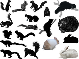set of black rodents isolated on white