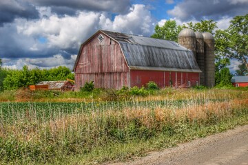 1103 - Shelby Red I (1103-BAR-071320-1108A)