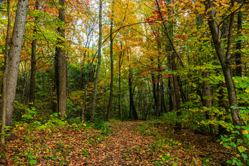 Walking in the Chauveau 
Park