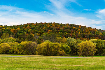 Fototapeta na wymiar autumn landscape with trees and mountain