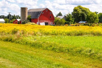 1108 - Starr Court Red (1108-BAR-083120-0202P)