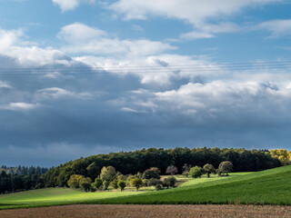 Herbstliche Blätter an Obstbäumen