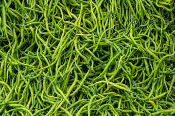 Fresh green chili peppers on the street market stall, pepper background