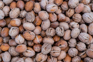 Fresh walnut in the local market