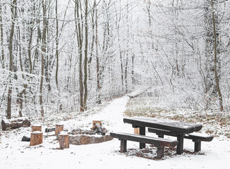 Bench in winter in the forest