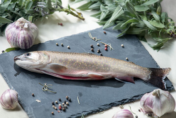 Trout. Fresh fish with spices, herbs and garlic.
