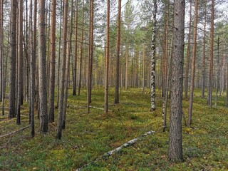 Rejection reasons (3)

Title: Title must be descriptive and relevant to the subject matter and must be in English. Titles cannot contain special characters, spelling/grammar errors, or repeat words/ph