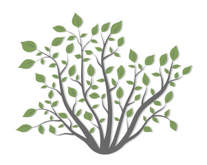 Bush plants with green leaves of different shapes with a light shadow on a white background