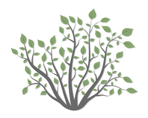 Bush plants with green leaves of different shapes with a light shadow on a white background