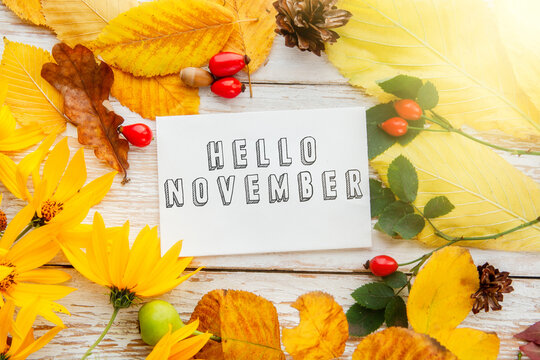 Hello november. frame of autumn decor Poster card filter grunge image