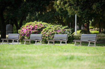 山下公園のベンチ