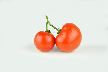 branch of tomato on a white background