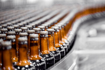 Beer bottles on conveyor production line. Brewery industry food factory manufacturing