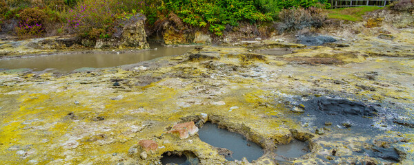 Hotsprings Of The Lake Furnas. Sao Miguel, Azores. Lagoa das Furnas Hotsprings. panorama