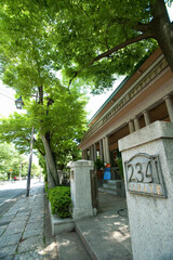 Fototapeta na wymiar 横浜　山手のカフェ