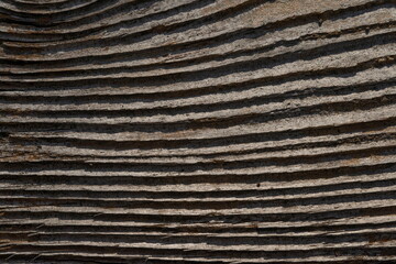 Deeply Worn Grain on a Wooden Plank