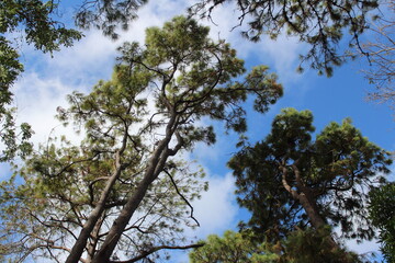 Naturaleza