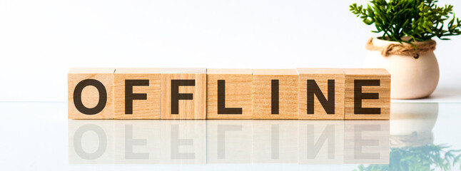 Offline motivation text on wooden blocks business concept white background. Front view concepts, flower in the background.