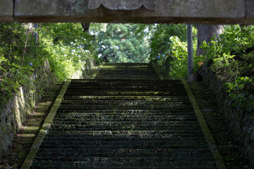 Fototapeta na wymiar 神社へ登る階段