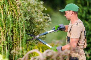 Seasonal Garden Plants Trimming Work