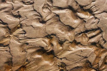 Real image of wet sand on the beach with texture of wave.