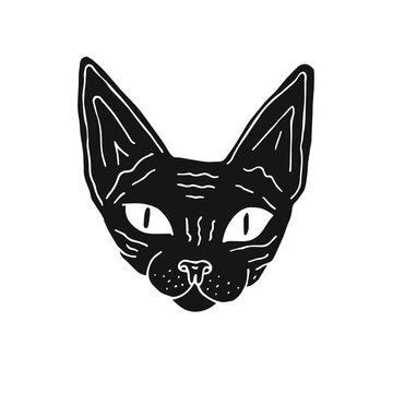 recommend clip art: Vector black hand drawn doodle sketch Sphynx cat face isolated on white background