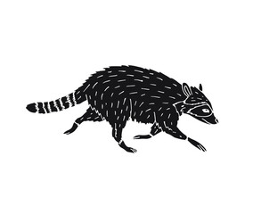 Vector black hand drawn doodle sketch raccoon isolated on white background