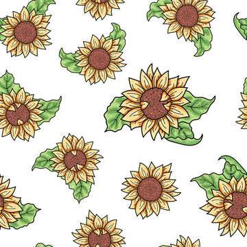 Seamless pattern with cute hand drawn sunflowers with leaves isolated on white background. Vector botanical background for package, banner, print, fabric, label, advertising, textile, wrapping paper.